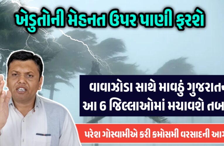 ખેડુતોની મેહનત ઉપર પાણી ફરશે, વાવાઝોડા સાથે માવઠું ગુજરાતના આ 6 જિલ્લાઓમાં મચાવશે તબાહી, પરેશ ગોસ્વામીએ કરી કમોસમી વરસાદની આગાહી…