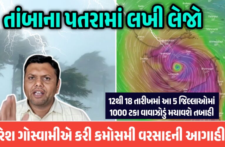 તાંબાના પતરામાં લખી લેજો, 12થી 18 તારીખમાં આ 5 જિલ્લાઓમાં 1000 ટકા વાવાઝોડું મચાવશે તબાહી, પરેશ ગોસ્વામીએ કરી કમોસમી વરસાદની આગાહી…